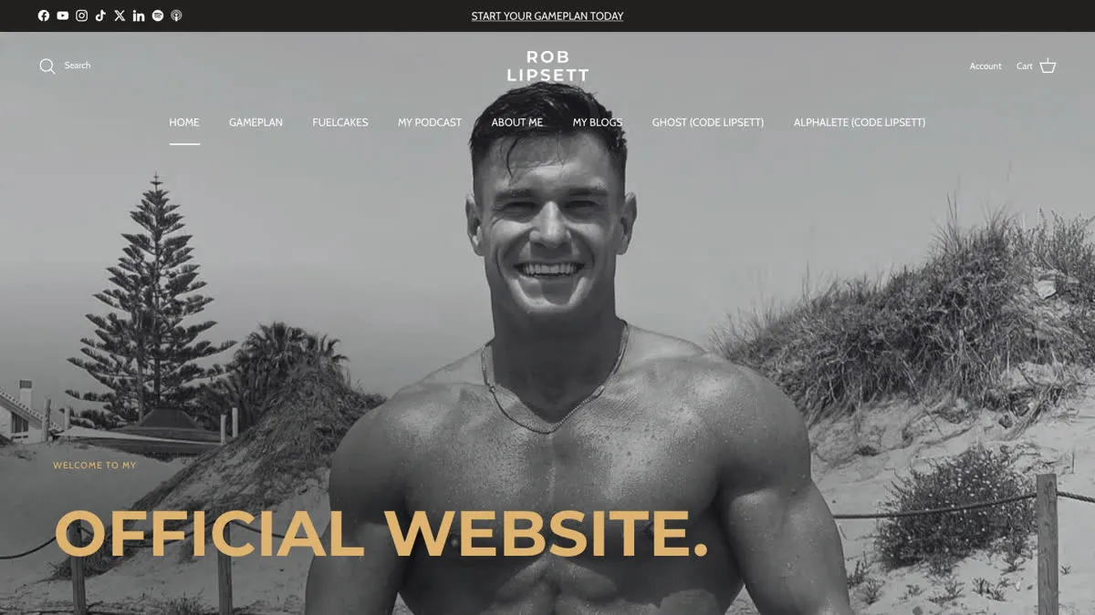 Homepage of Rob Lipsett